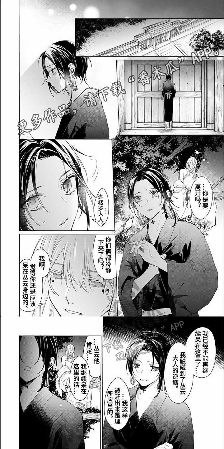 《神鹰的生活》第15章故事 第1页