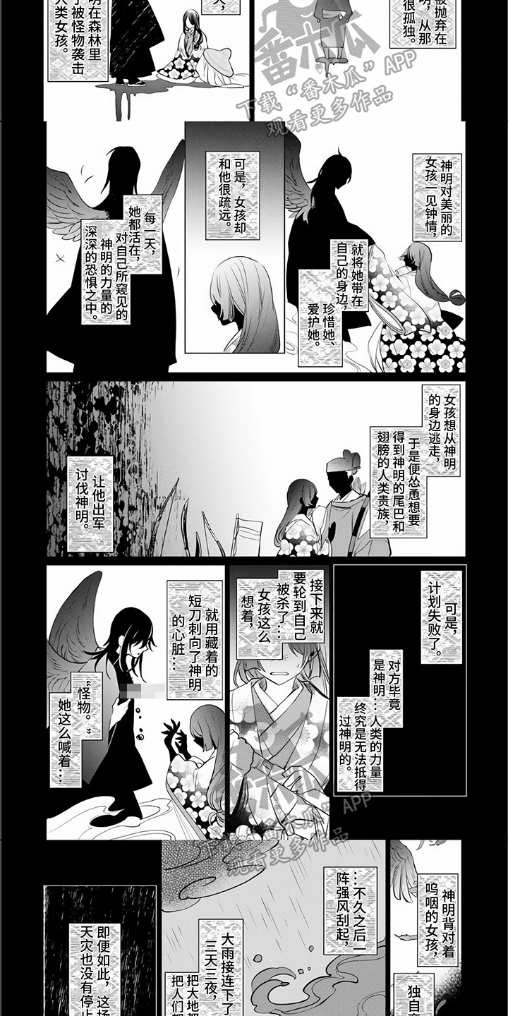 《神鹰的生活》第15章故事 第3页
