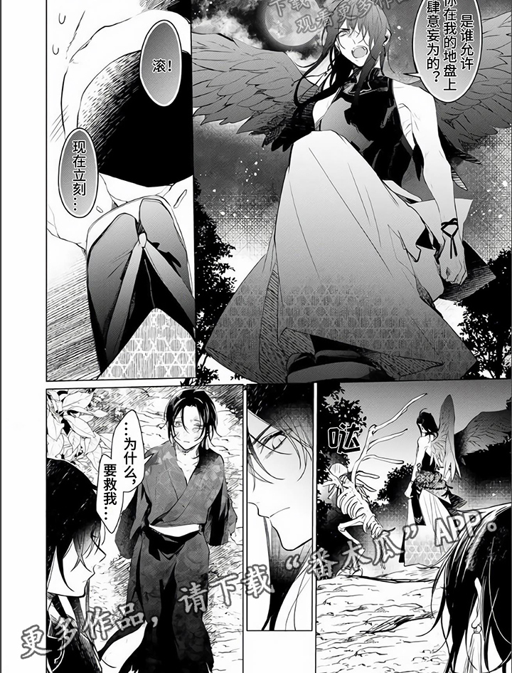 《神鹰的生活》第16章英雄救美 第6页