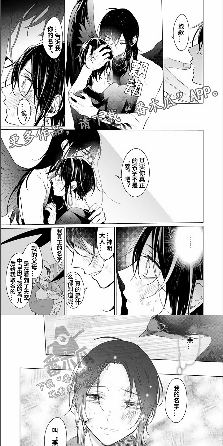 《神鹰的生活》第17章安心 第1页