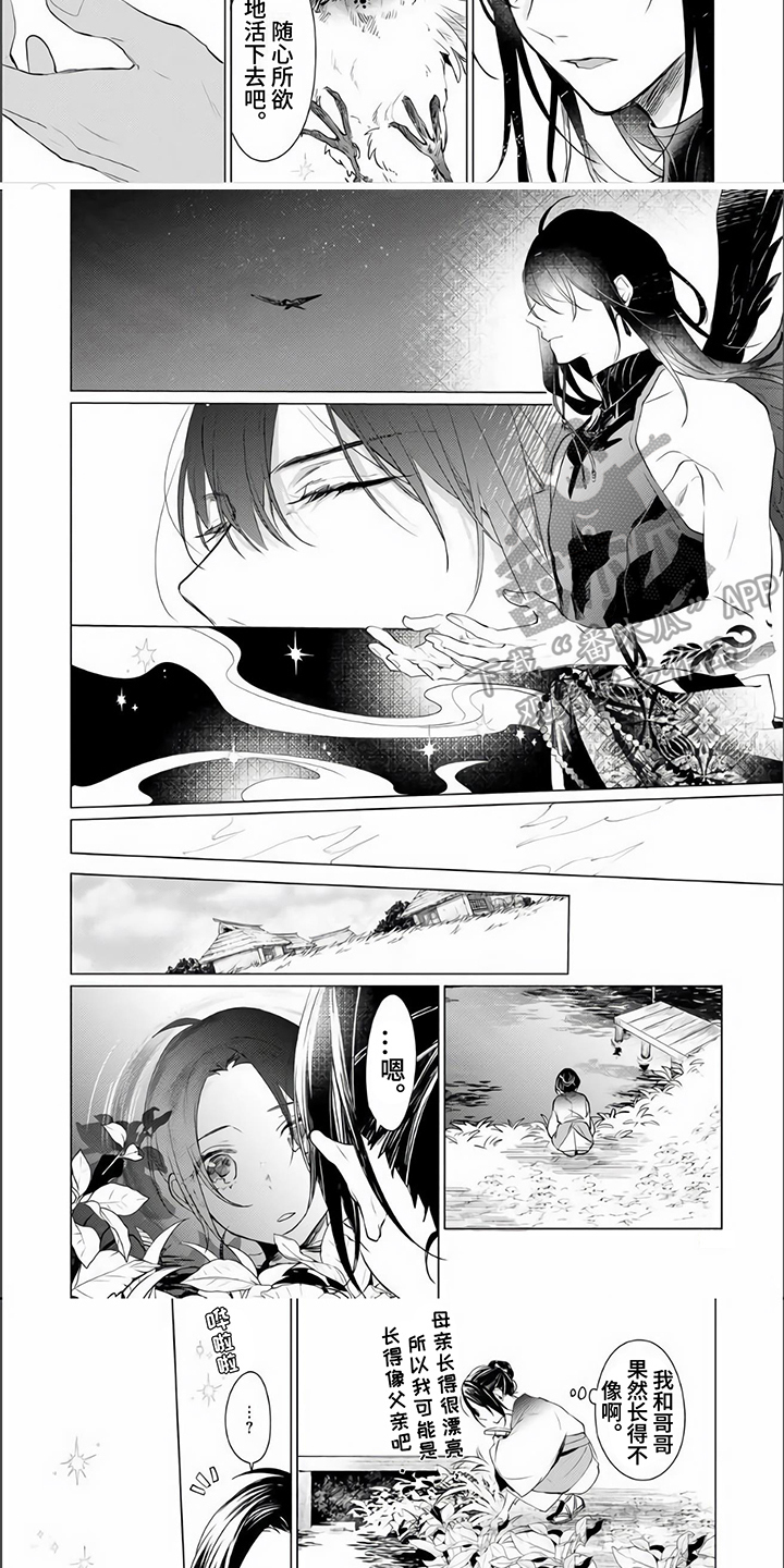 《神鹰的生活》第17章安心 第3页