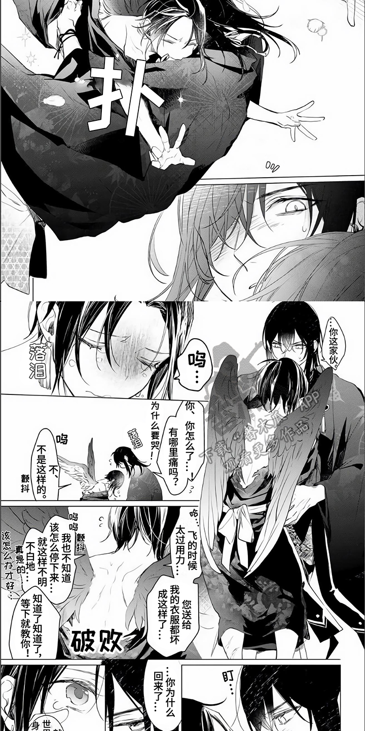 《神鹰的生活》第18章归宿【完结】 第2页