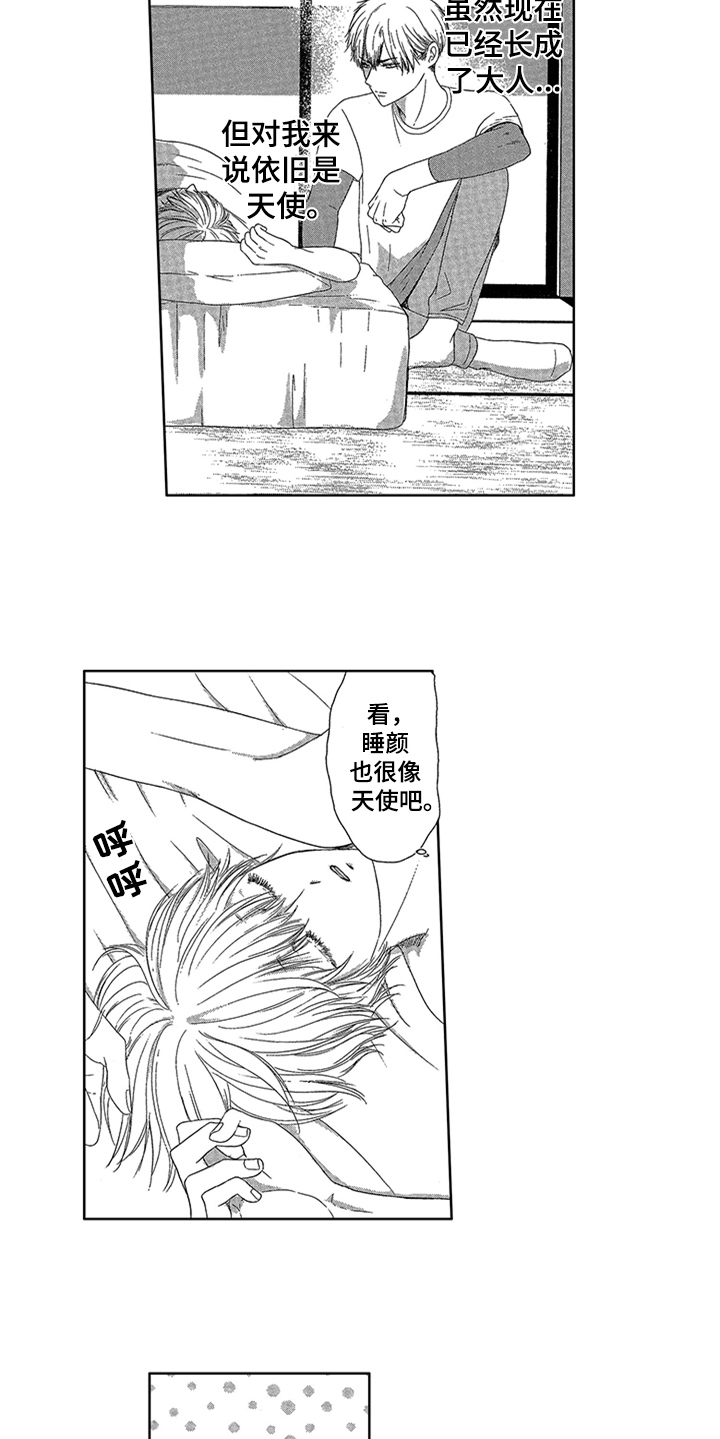 《儿时玩伴》第1章唯一的秘密 第12页