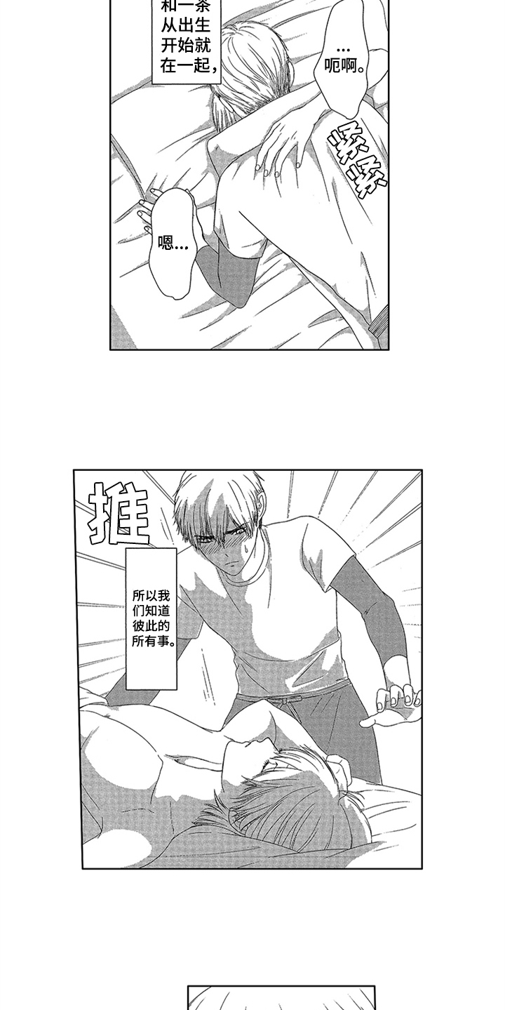 《儿时玩伴》第1章唯一的秘密 第6页