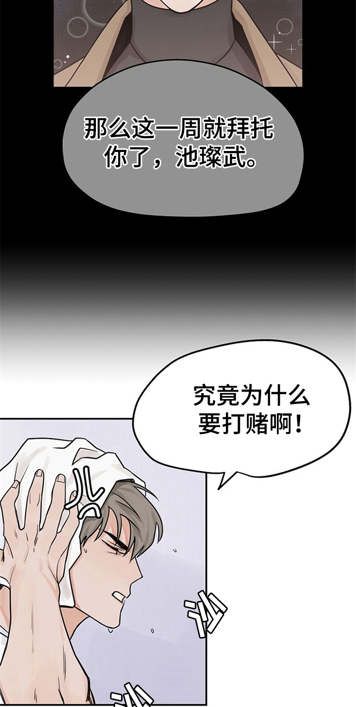 《赌约恋人》第5章问候 第5页