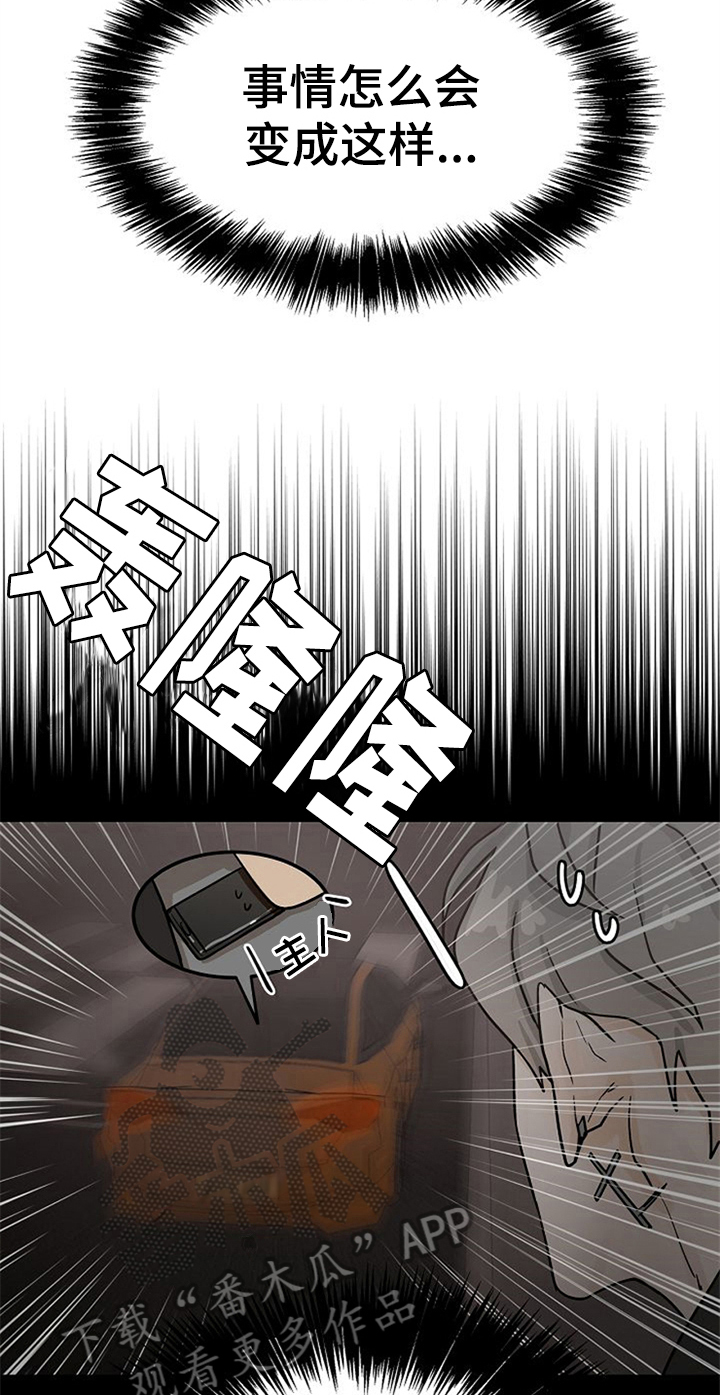 《赌约恋人》第23章受伤 第3页