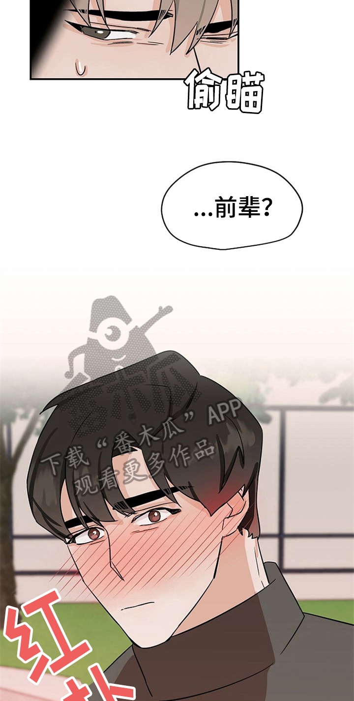 《赌约恋人》第33章表情 第10页