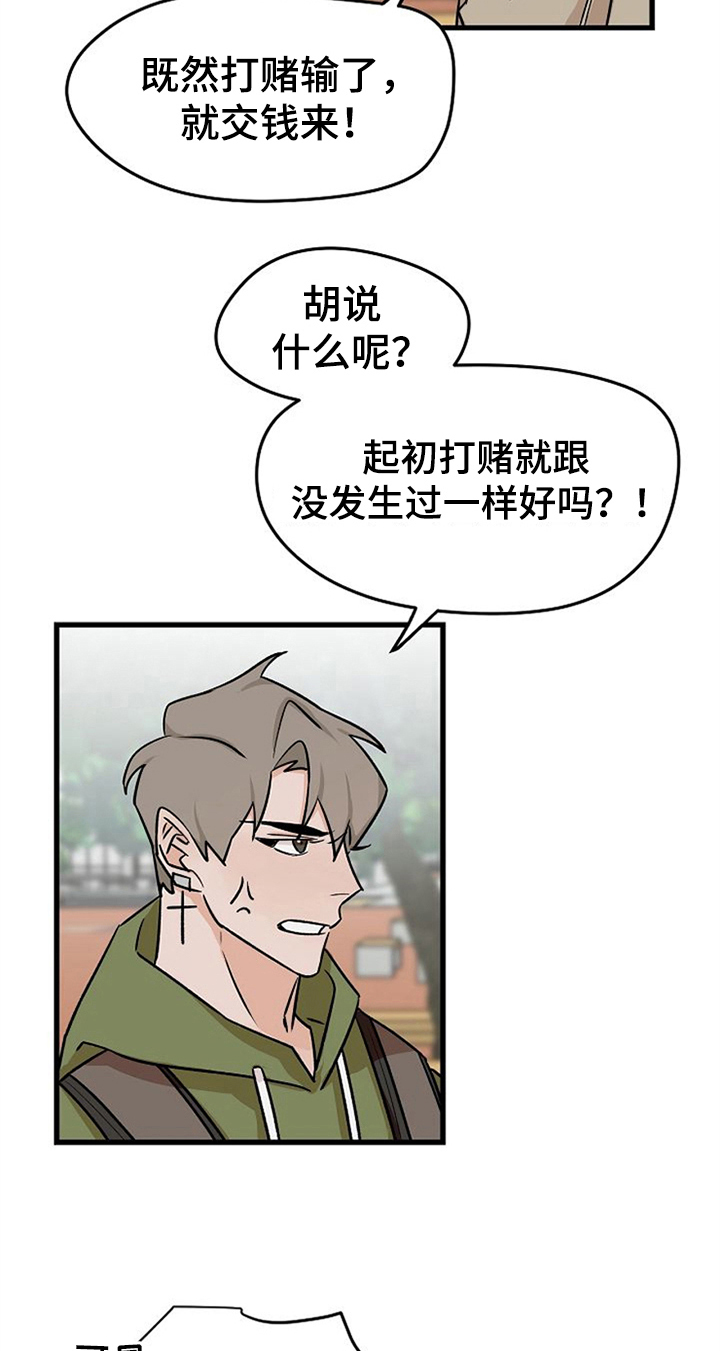 《赌约恋人》第38章不后悔【完结】 第10页
