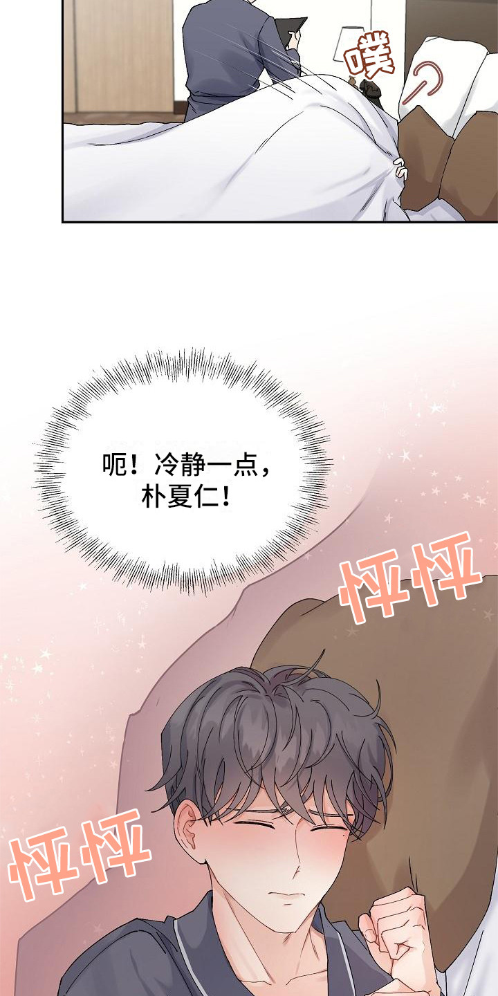 《完美的伙伴》第7章脸红 第19页