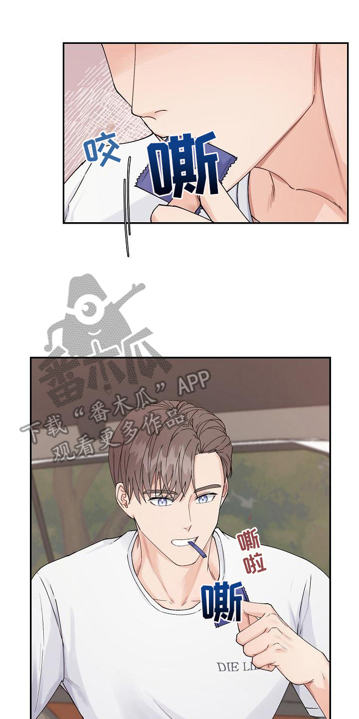 《完美的伙伴》第6章温柔对待 第15页
