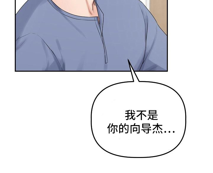 《完美的伙伴》第13章表明心意 第15页