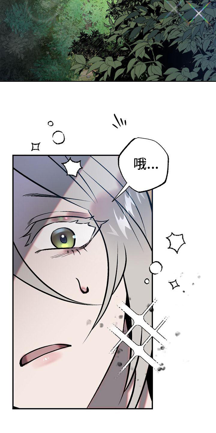 《粘糕聚会》第1章故事序章 第15页