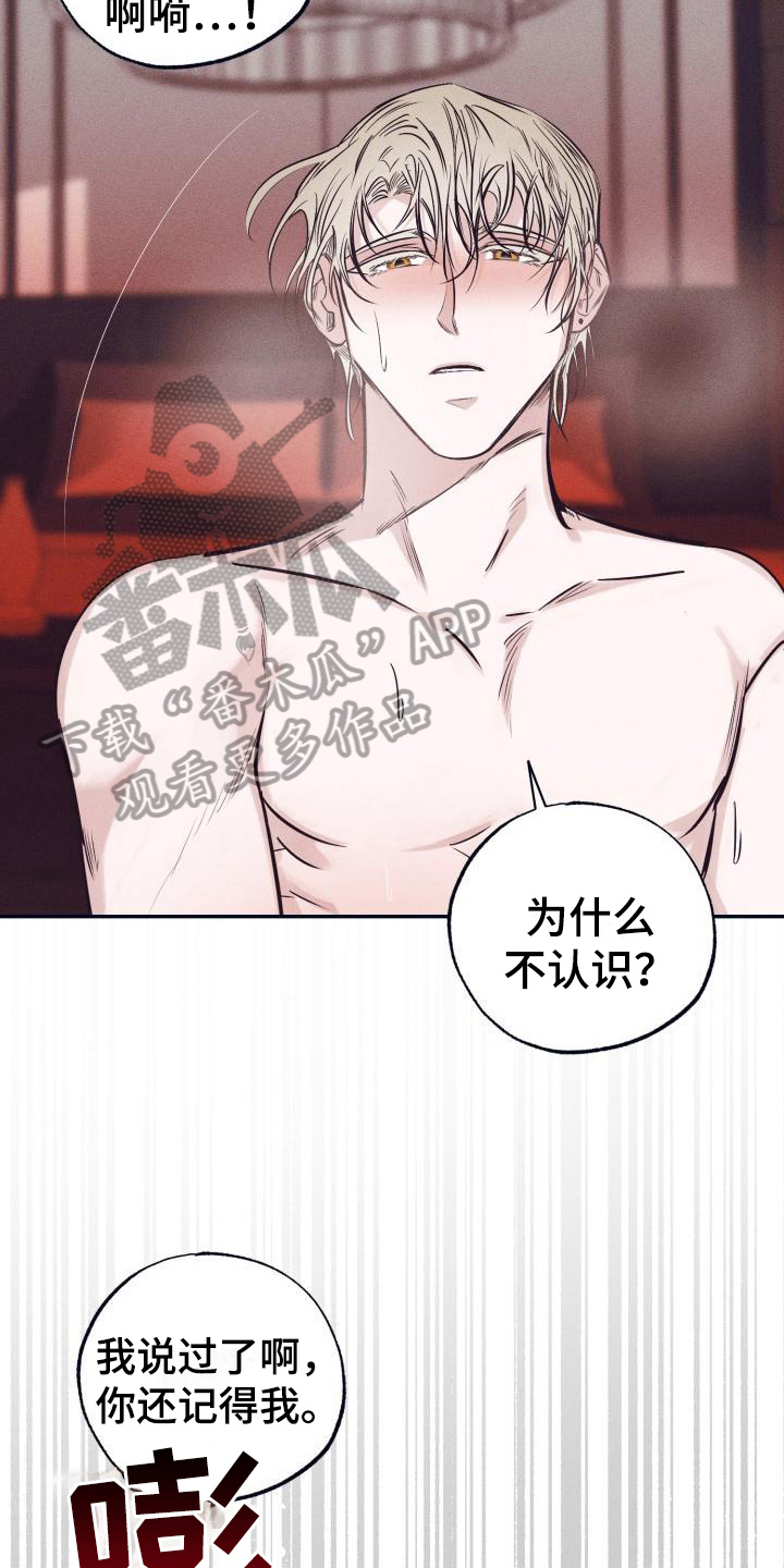 《粘糕聚会》第28章白衣恶魔放弃 第12页