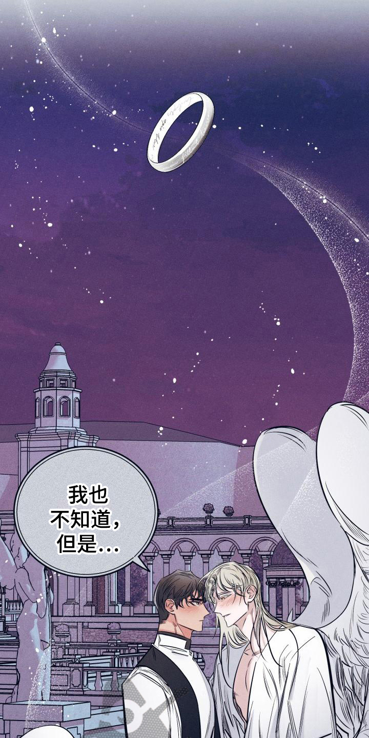 《粘糕聚会》第31章白衣恶魔一直爱着你（完） 第14页