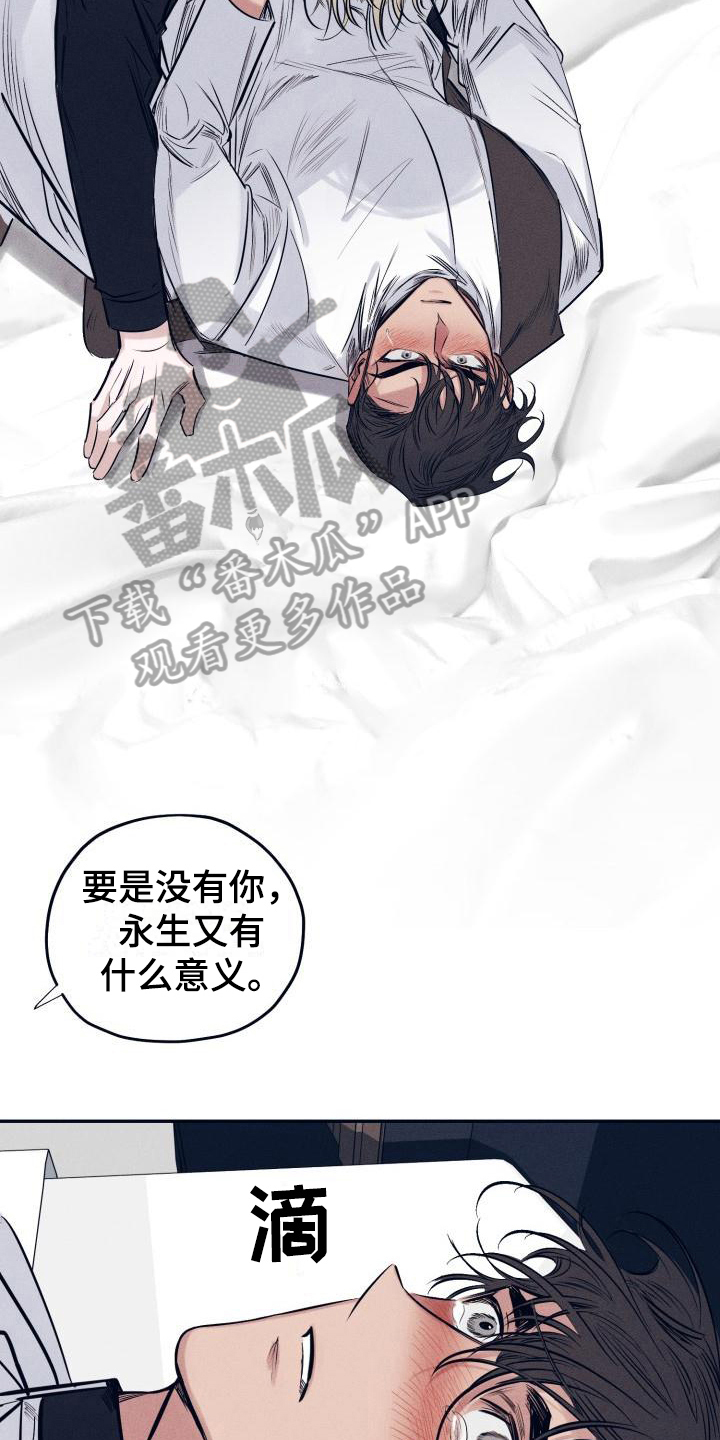 《粘糕聚会》第31章白衣恶魔一直爱着你（完） 第3页