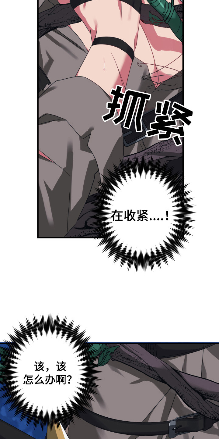 《粘糕聚会》第46章从胸口开始的骑士精神期待 第2页