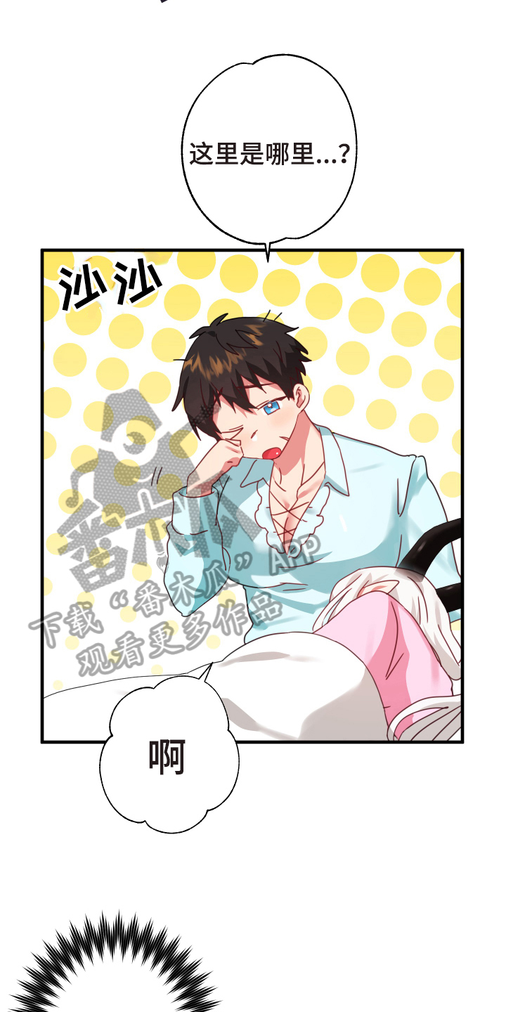 《粘糕聚会》第52章从胸口开始的骑士精神抽象画 第5页