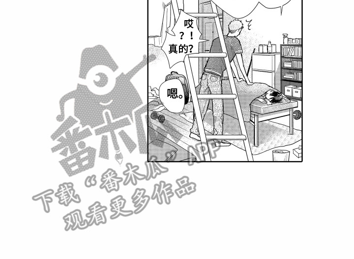 《剑道初心》第4章信任你 第17页