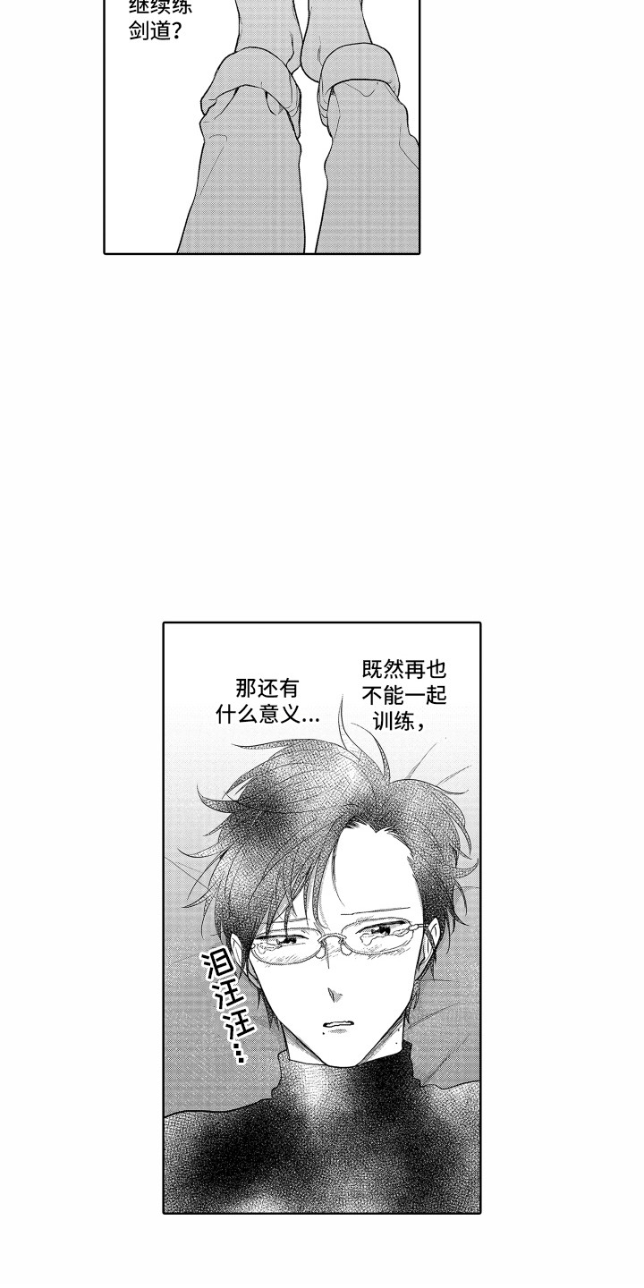 《剑道初心》第20章难过 第13页