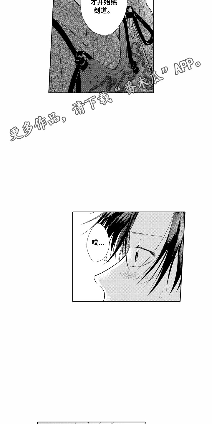 《剑道初心》第22章往事 第11页