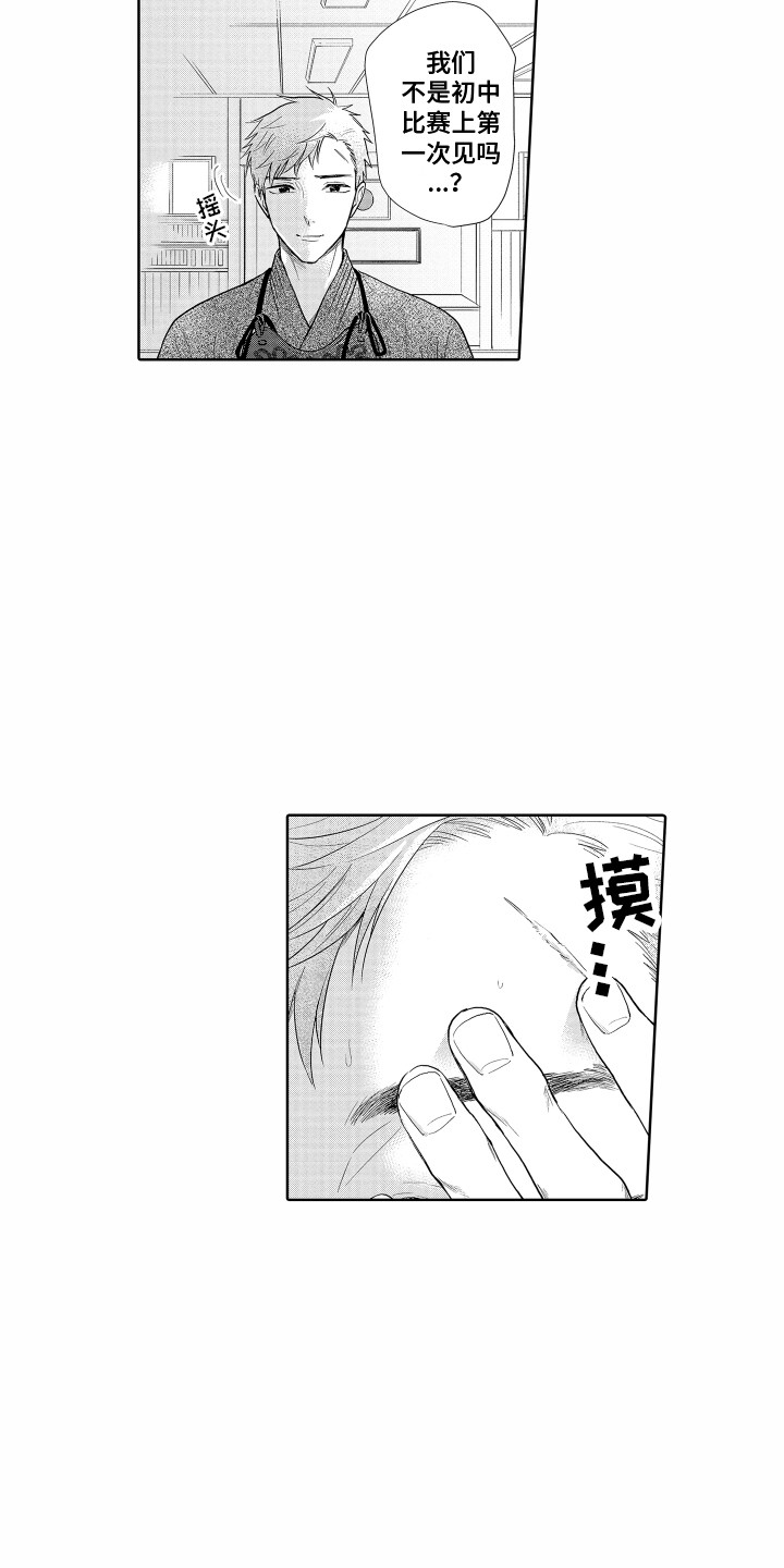《剑道初心》第22章往事 第12页