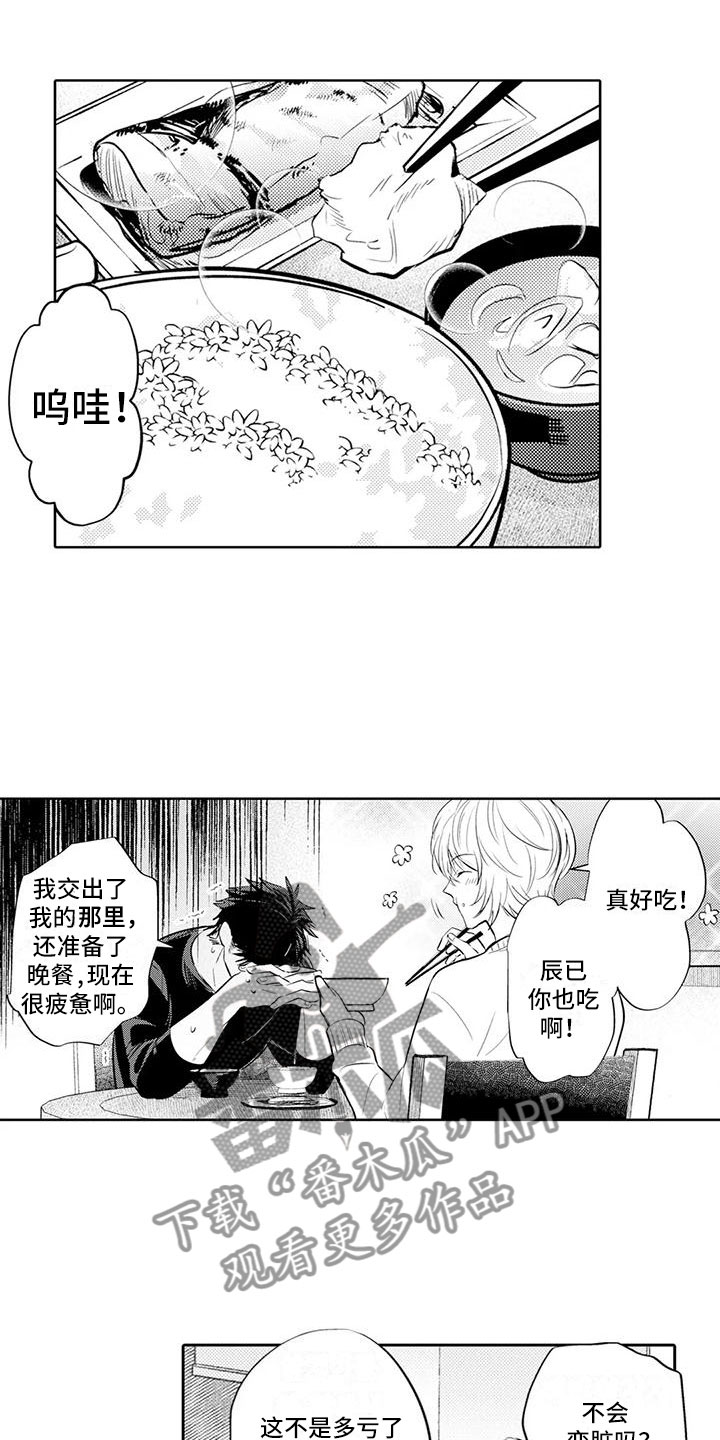 《美丽相拥》第15章他的职场 第3页