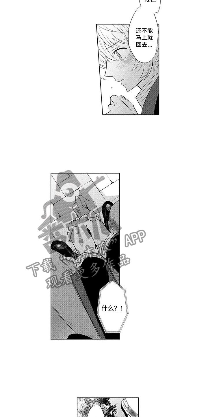 《美丽相拥》第28章打电话 第5页