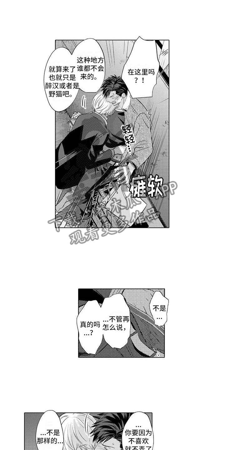 《美丽相拥》第29章开始拍摄 第4页