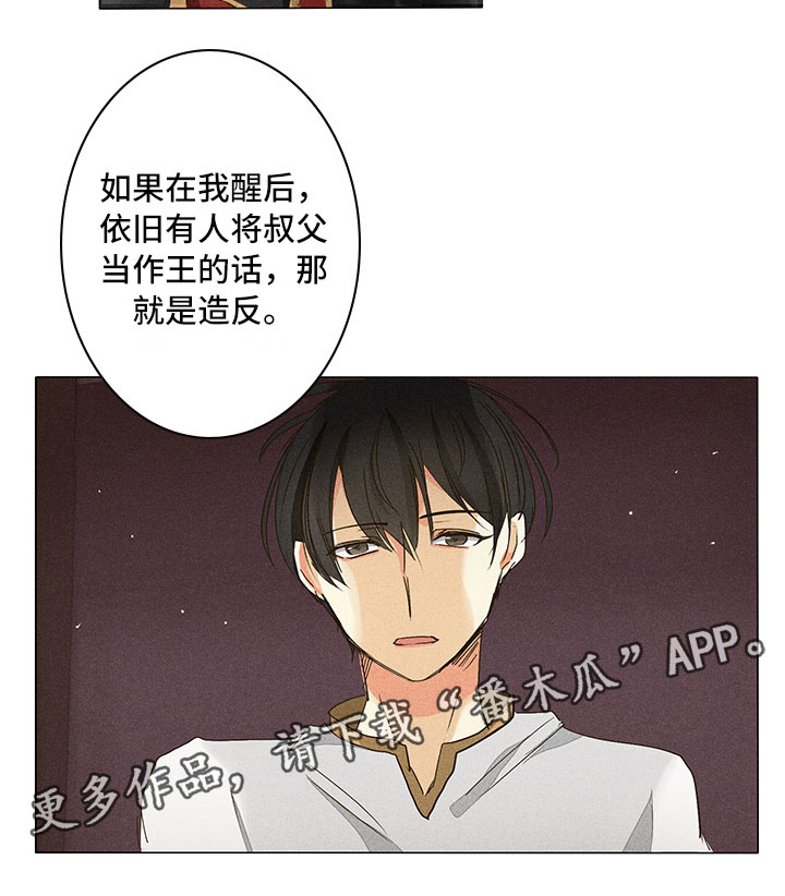 《贵王的爱臣》第28章他醒了！ 第17页