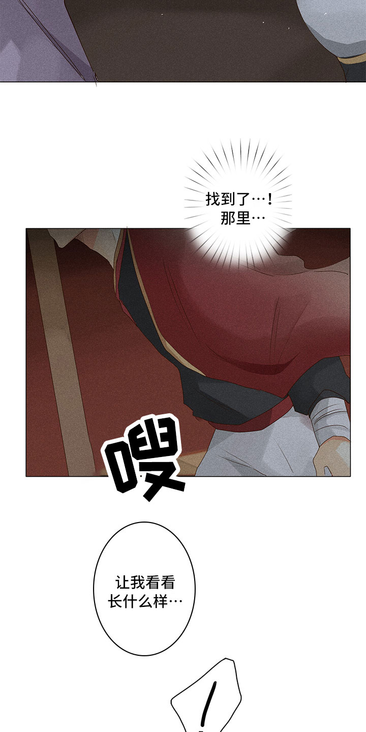 《贵王的爱臣》第15章里面请 第5页
