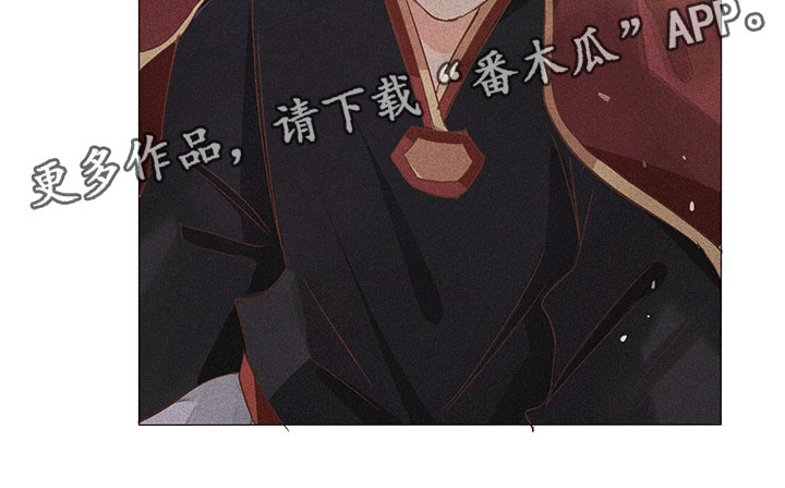 《贵王的爱臣》第13章深夜暗访 第20页