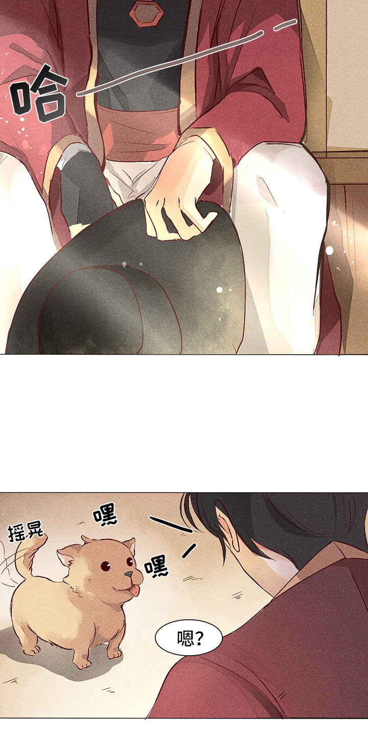 《贵王的爱臣》第1章带我找他 第15页