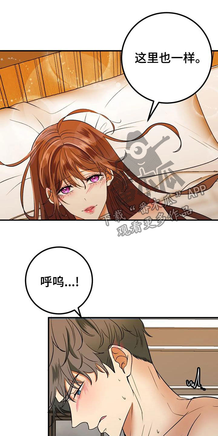 《婚姻合作》第40章不用再忍 第12页