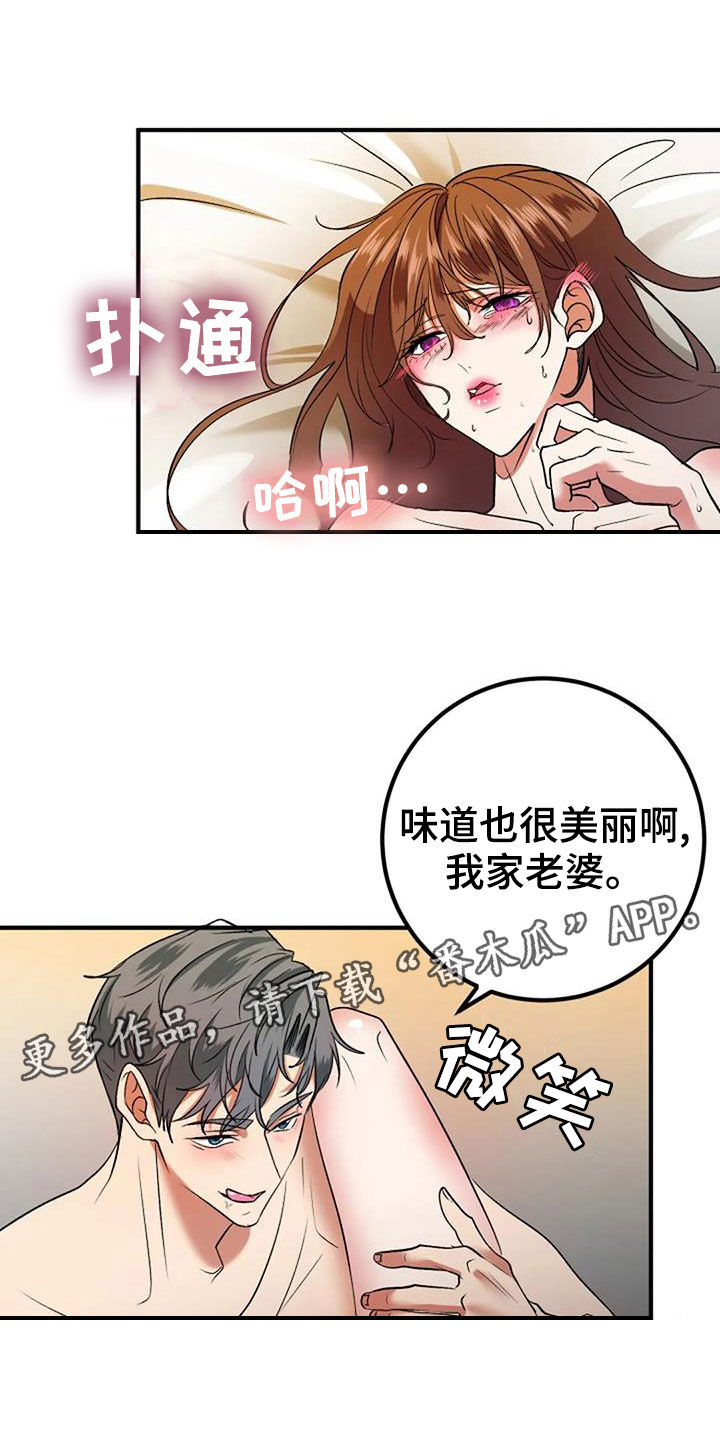 《婚姻合作》第40章不用再忍 第1页