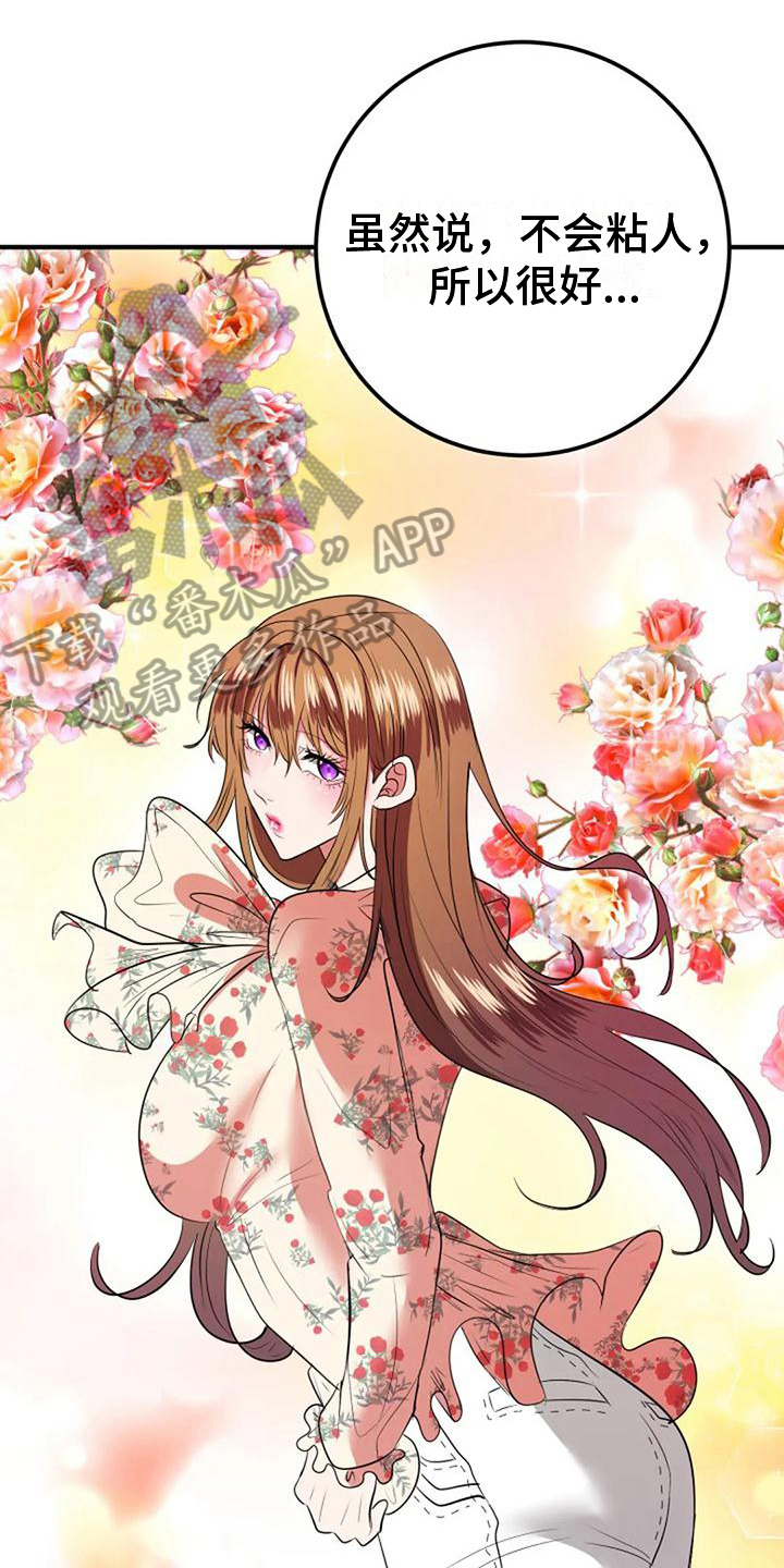 《婚姻合作》第29章婚礼策划 第18页