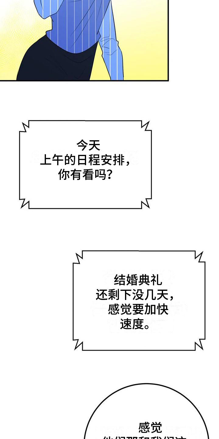 《婚姻合作》第29章婚礼策划 第3页