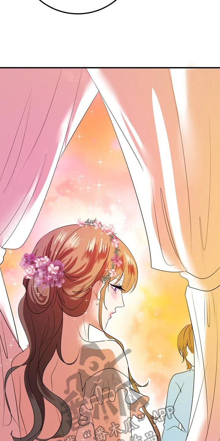 《婚姻合作》第29章婚礼策划 第6页