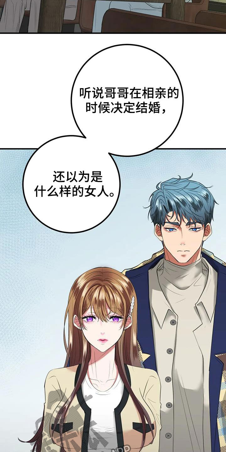 《婚姻合作》第33章见家长 第17页
