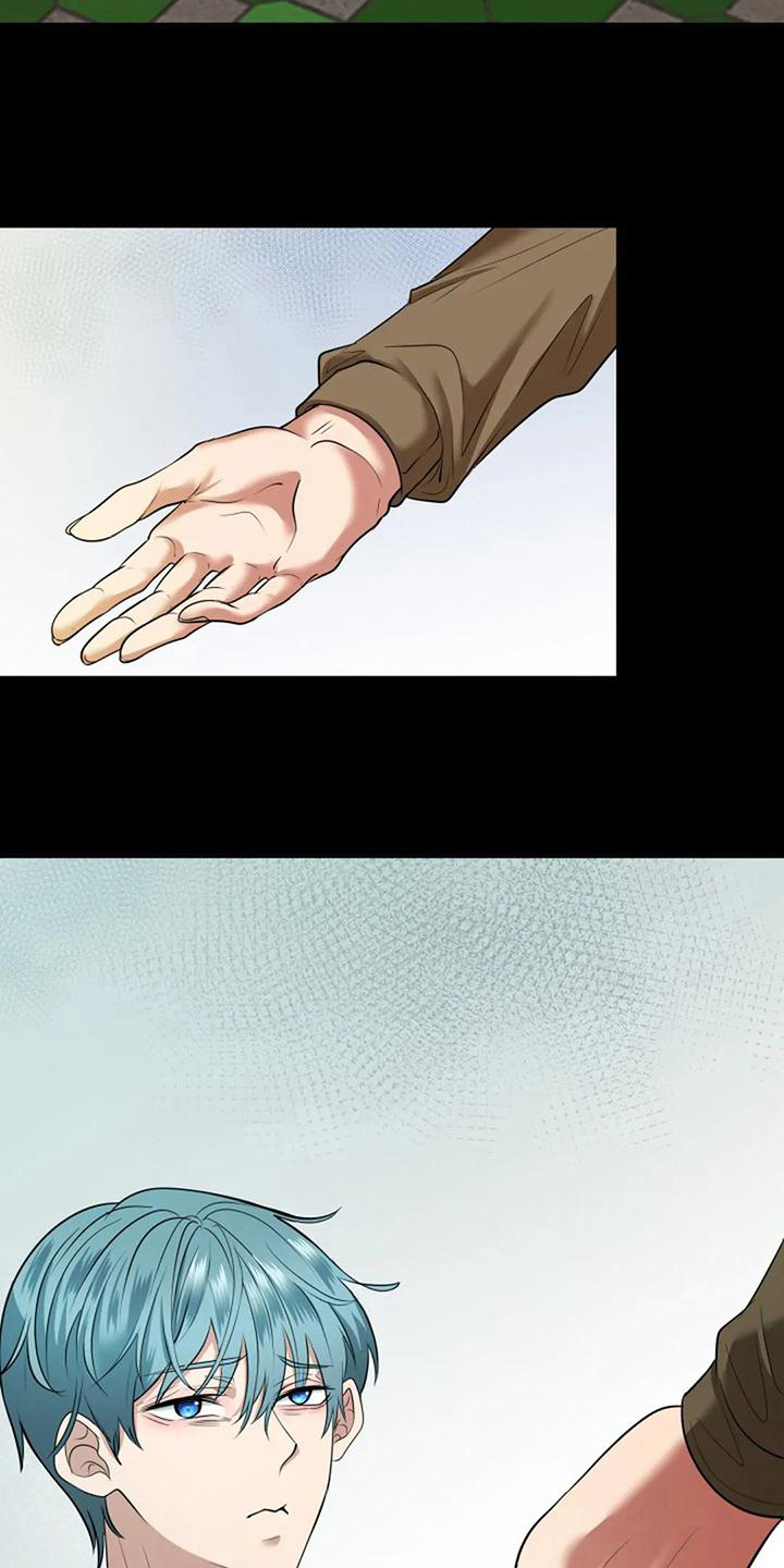 《婚姻合作》第31章收养 第13页