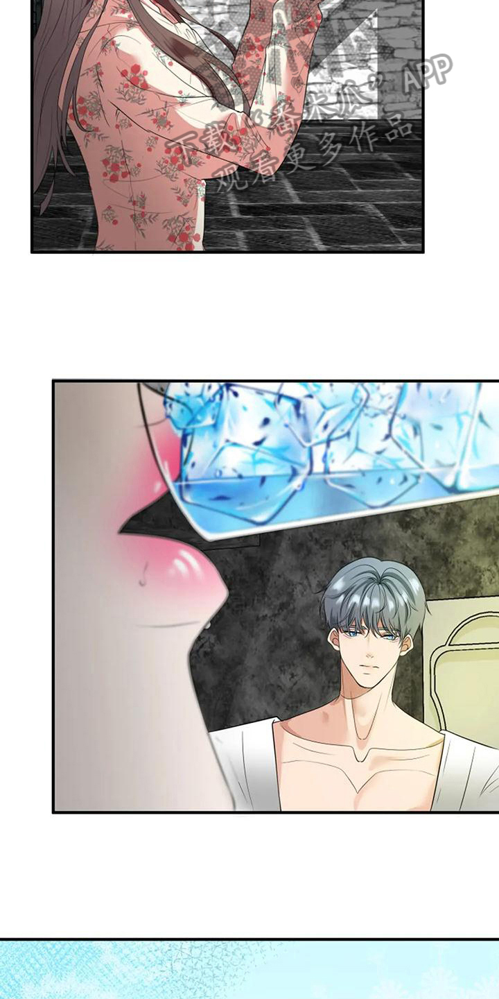 《婚姻合作》第23章吸引 第15页