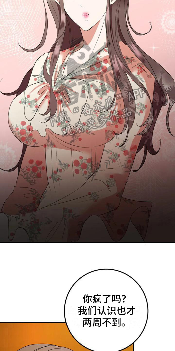 《婚姻合作》第19章提议 第13页