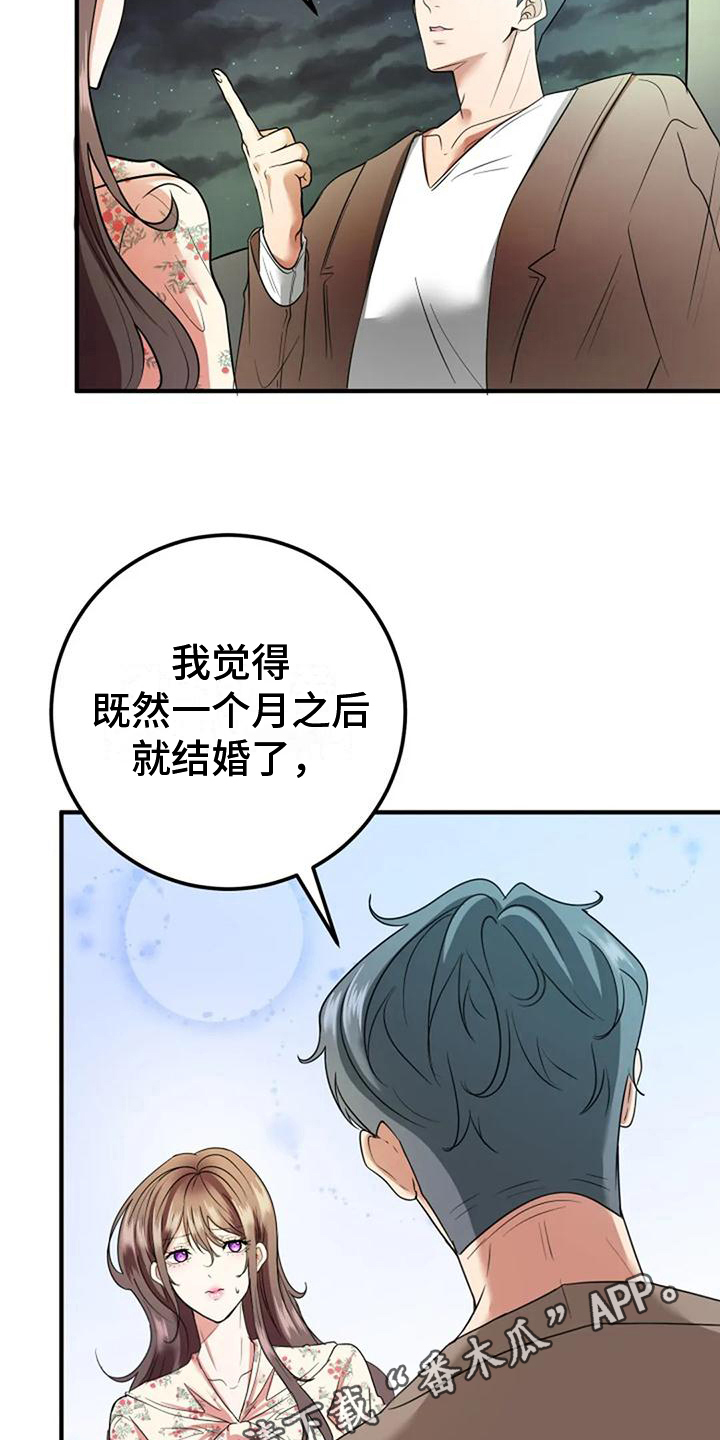 《婚姻合作》第19章提议 第17页