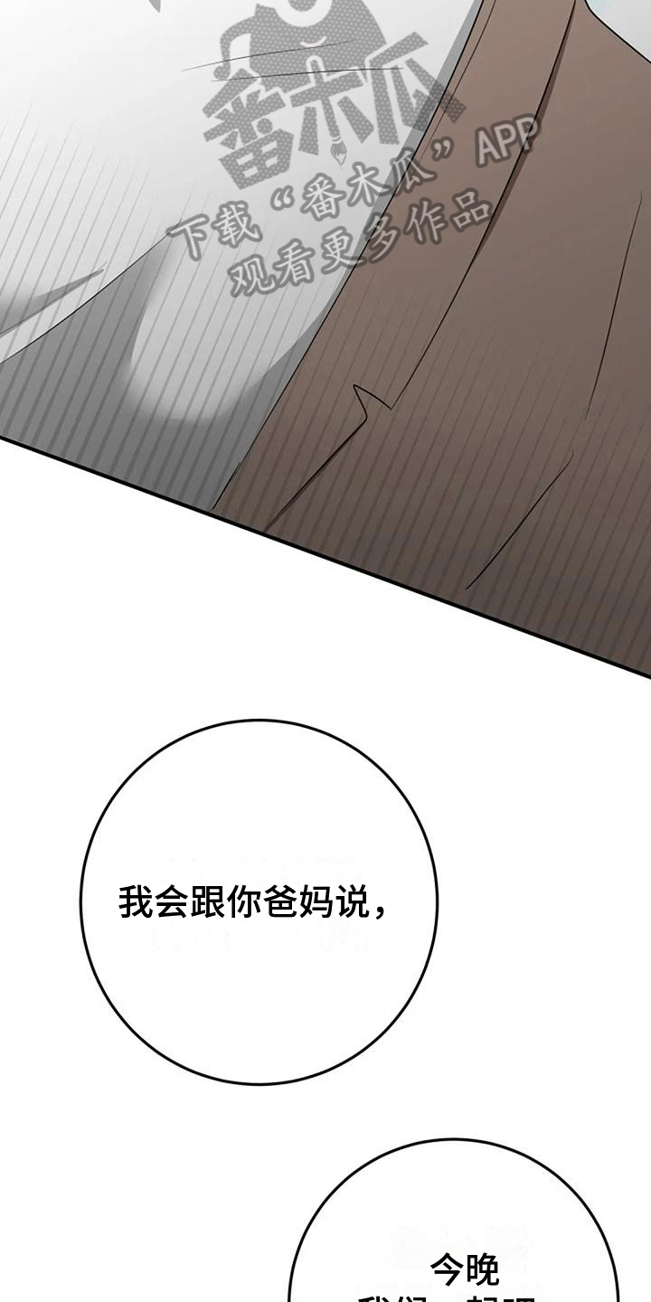 《婚姻合作》第19章提议 第3页