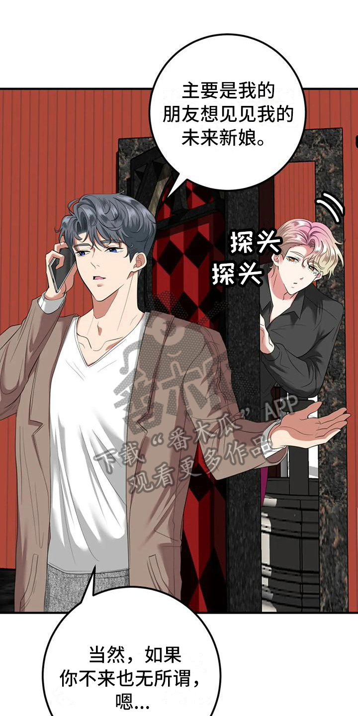 《婚姻合作》第14章朋友 第1页