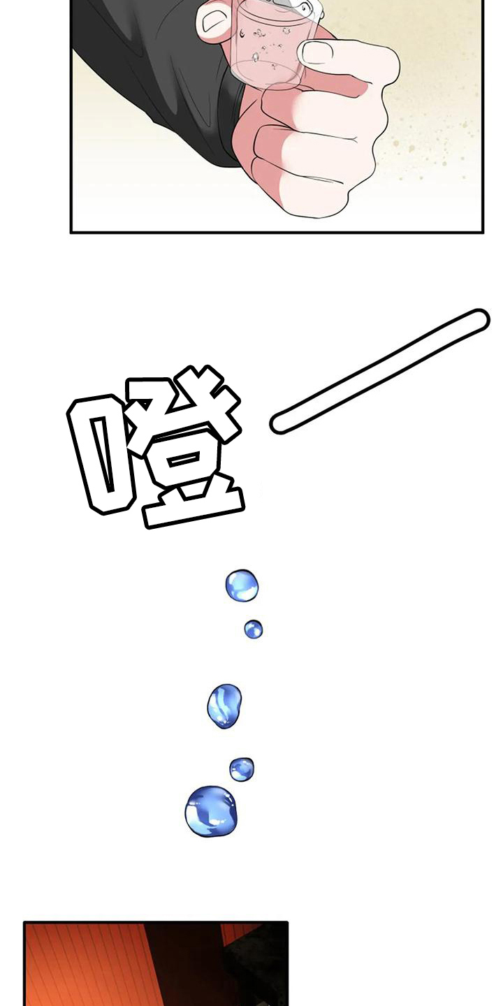 《婚姻合作》第15章介绍 第11页