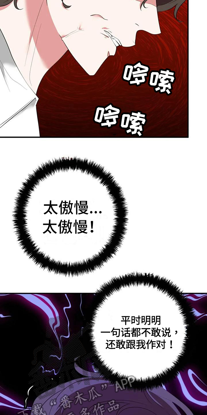 《婚姻合作》第11章愤怒 第13页