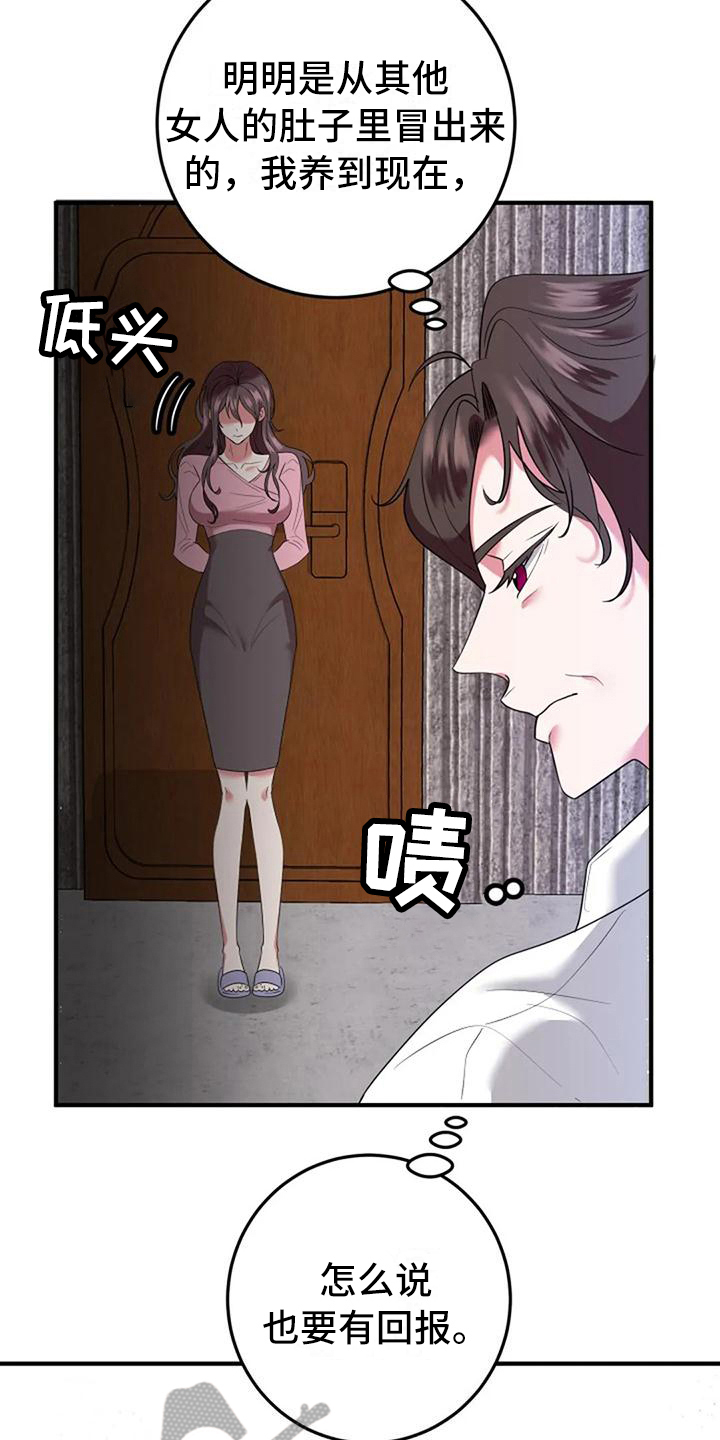 《婚姻合作》第11章愤怒 第3页