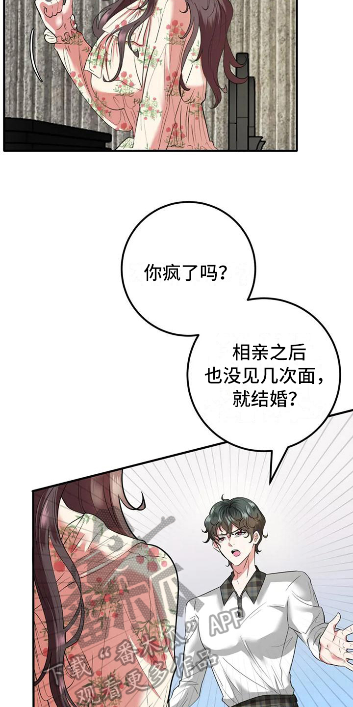 《婚姻合作》第12章劝说 第14页