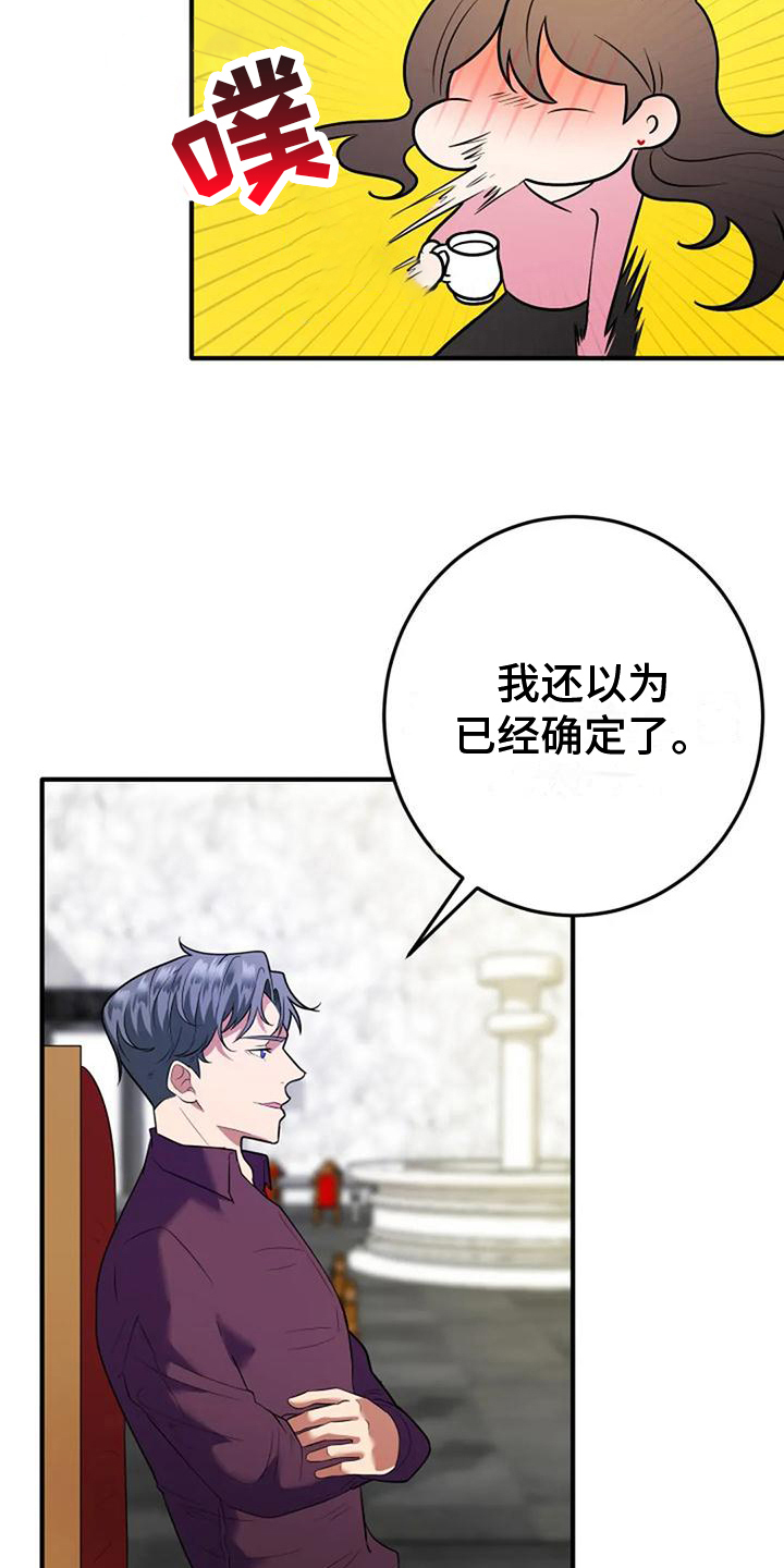 《婚姻合作》第8章政治婚姻 第5页