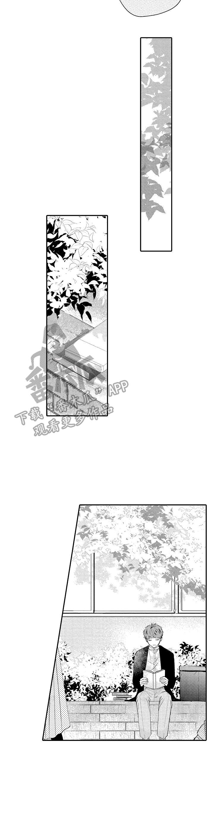 《世界因你而隐形》第11章情感 第3页